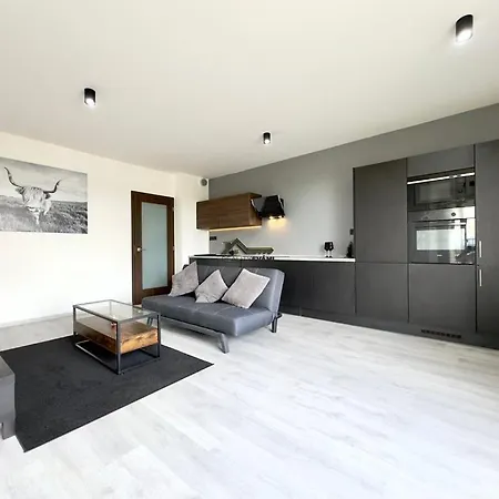 Nova Karolina, Center Apartment Ostrava